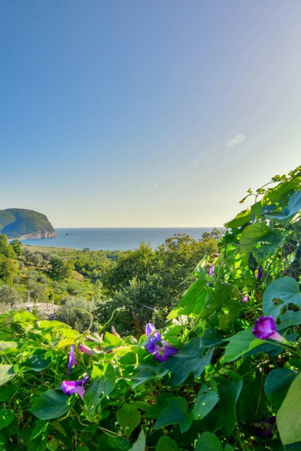 Pataki Guesthouse Petrovac Exteriér fotografie