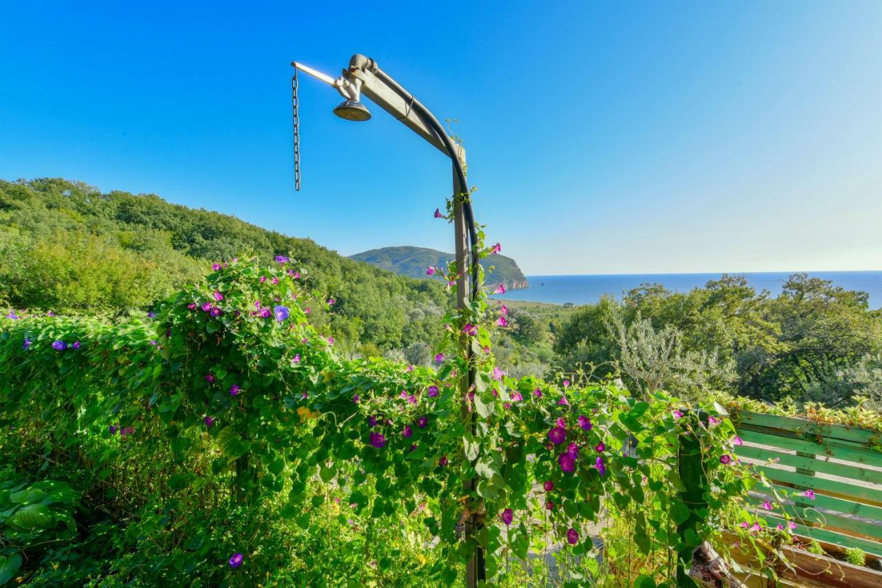 Pataki Guesthouse Petrovac Exteriér fotografie