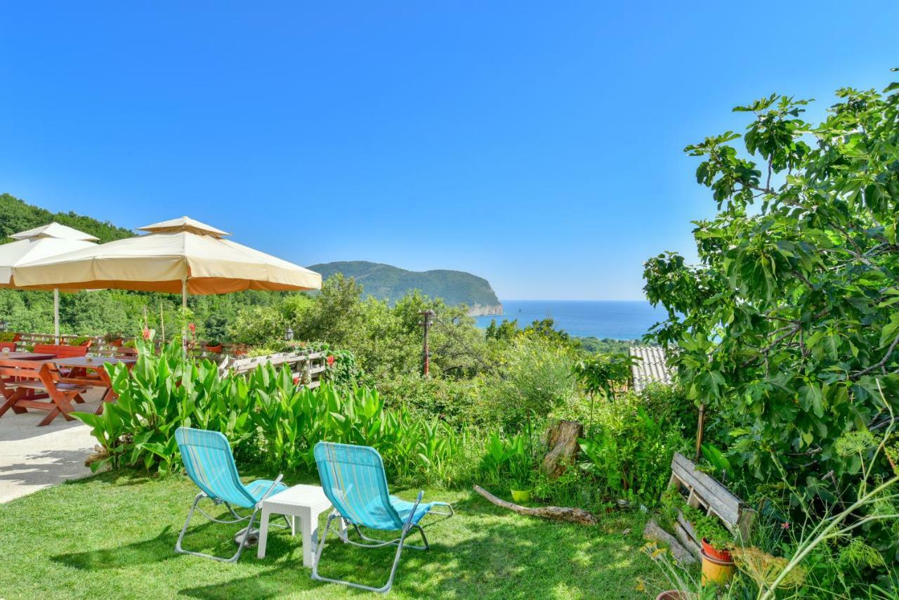 Pataki Guesthouse Petrovac Exteriér fotografie