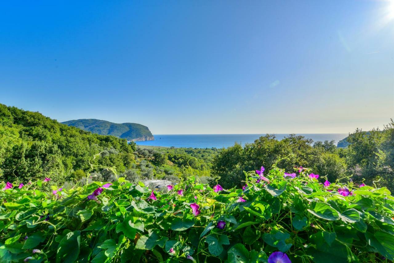 Pataki Guesthouse Petrovac Exteriér fotografie